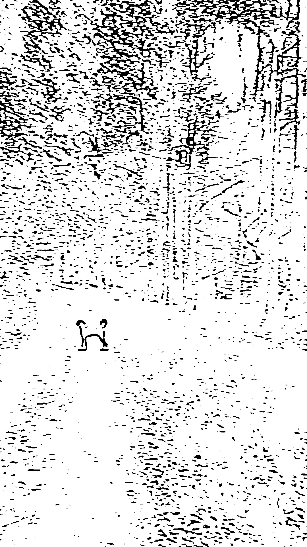 Feet framed by branches